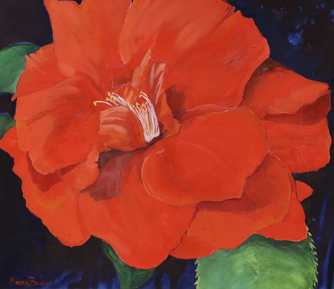Madge Bright, two oils on board, Lilies and Hibiscus Blooms, signed, 51 x 40cm and 37 x 43cm
